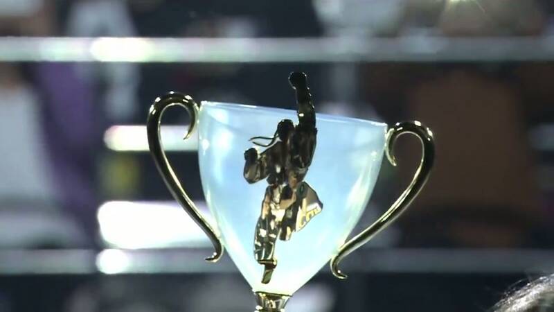 《街头霸王》第11届Capcom杯奖金分配画面2