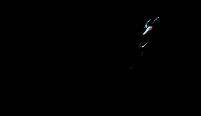 《巫师4》相关图片