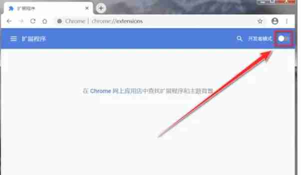 扩展栏上带有e字图标的按钮图片