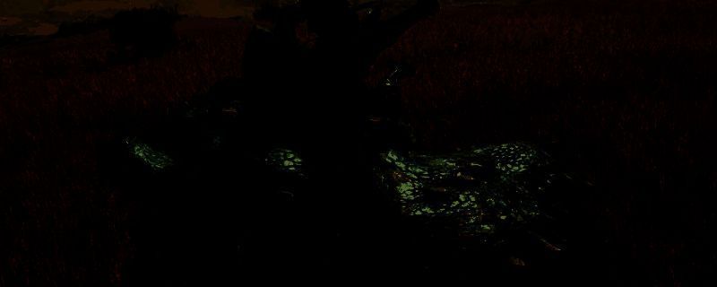 怪物猎人荒野骑乘怪物画面