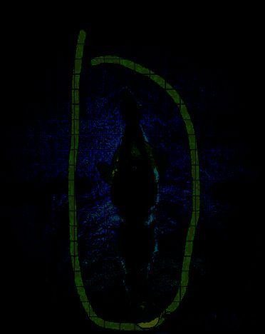 电脑版medibang paint圆笔尖工具在哪?medibang paint圆笔尖工具怎么使用? 使用圆笔尖工具绘画效果图