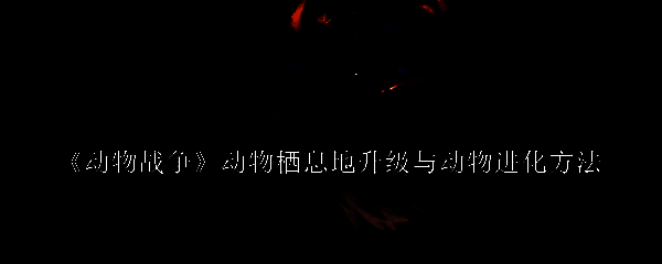 动物战争相关图片1