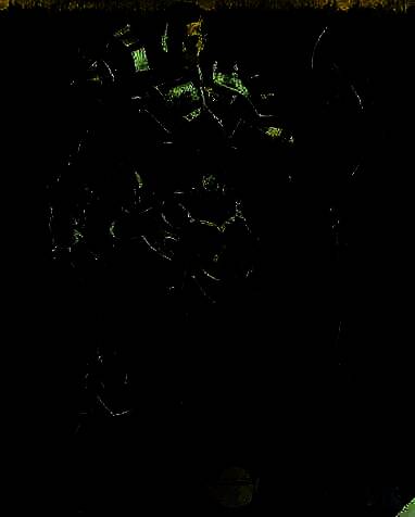 掠夺者相关图片