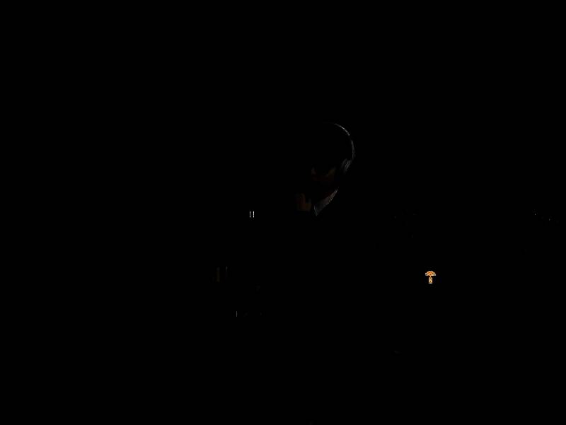 inZOI文雅帅哥捏脸步骤图3