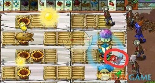 植物大战僵尸杂交版辣椒杀虫剂相关画面