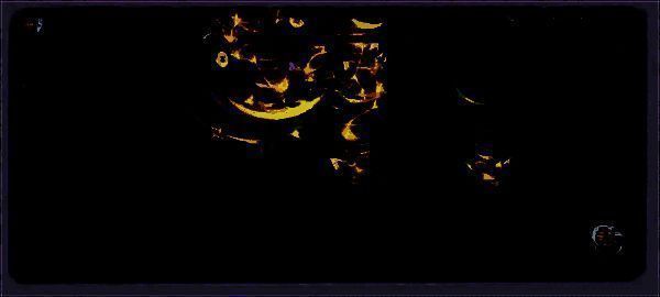 幽冥白皇旋转风暴技能图