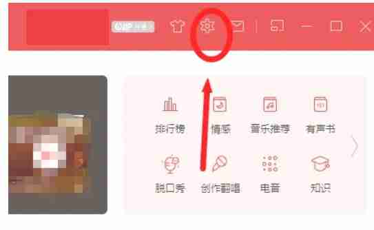 网易云音乐设置图标画面