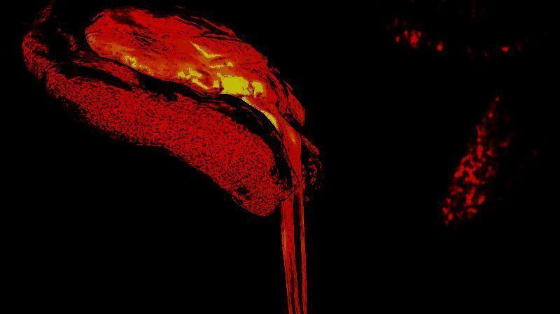 《怪物猎人:荒野》相关画面