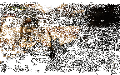 《怪物猎人：荒野》燕返技能展示动图