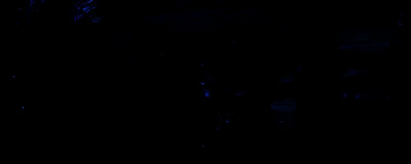 《怪物猎人：荒野》游戏画面