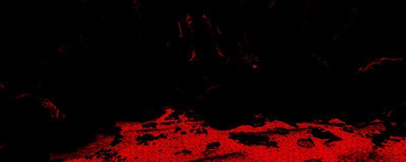 《Necrophosis》相关图片1