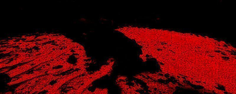 Necrophosis游戏相关图片1