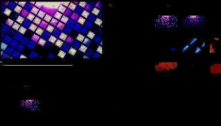 视频A放在视频轨的界面