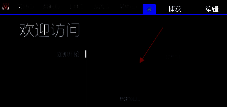 点击新建项目上方加号的界面图