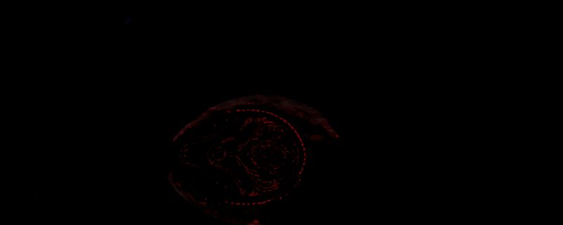 怪物猎人荒野盾斧游戏画面