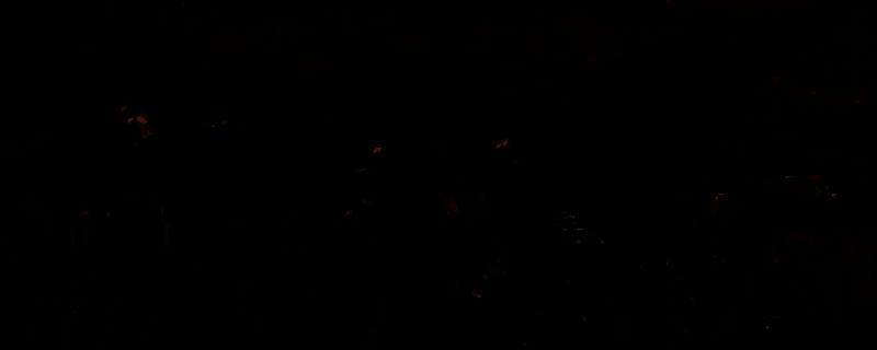 怪物猎人荒野盾斧相关画面