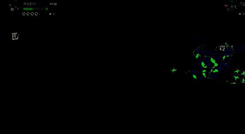 洛克王国手游水灵配对相关图片