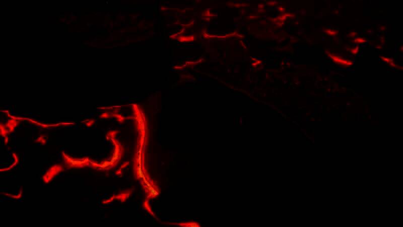 《岛民:新天地》游戏截图1