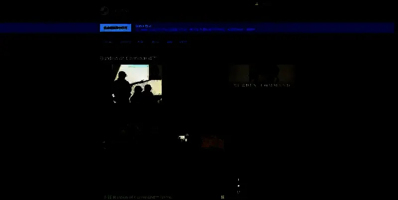 《Burden of Command》游戏相关图片2