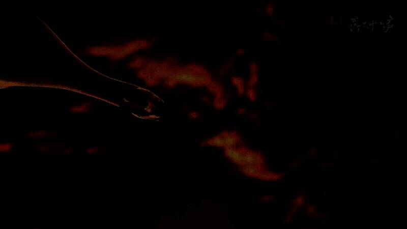 《燕云十六声》新奇术以鹅之鸣展示