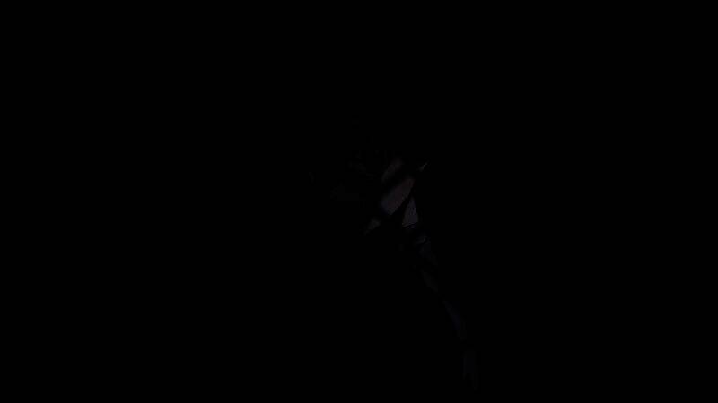 《祀月耀花~四月八日~》游戏截图4