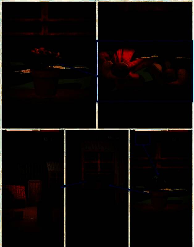 盆栽浇水后蜗牛线索图片