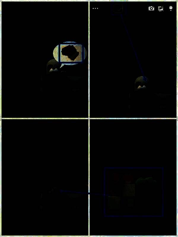 给狗狗积木获得线索图片