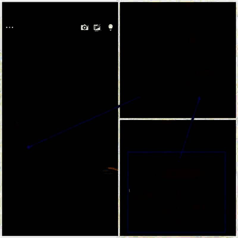 地上蘑菇的图片