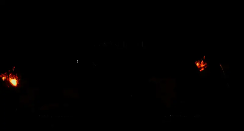 双影奇境中黑暗之魂篝火彩蛋画面