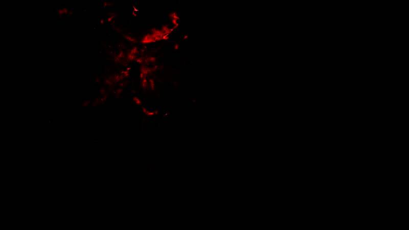 《明末：渊虚之羽》视频截图1