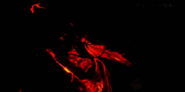 燕云十六声北溟有鱼奇术外观词条洗练预览2