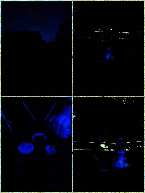 树下野餐食物线索图