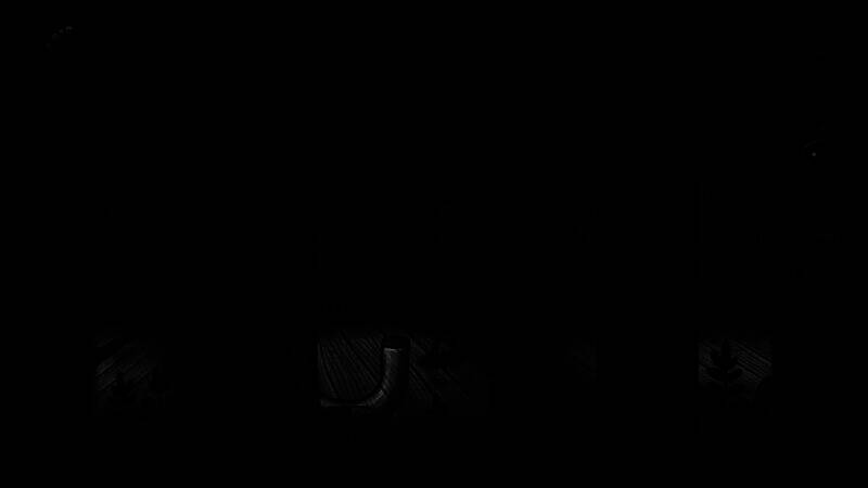 《怪物之家2: 勋章》游戏特色画面2