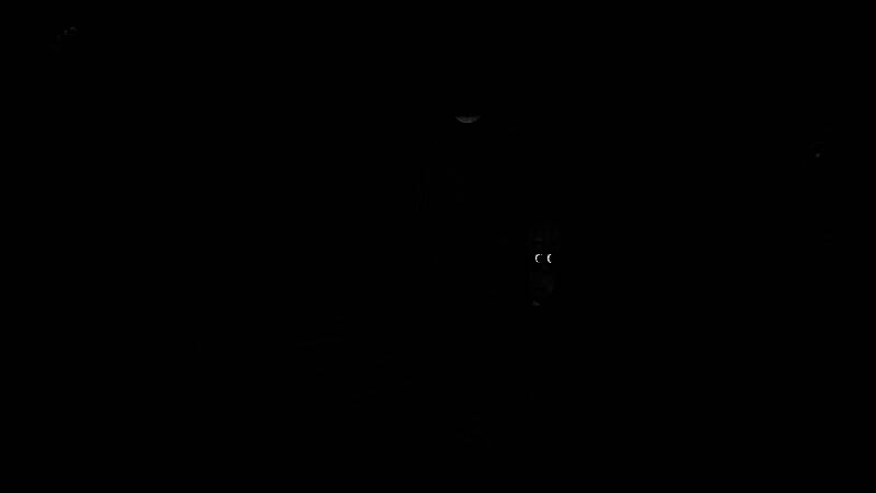 《怪物之家2: 勋章》游戏特色画面9