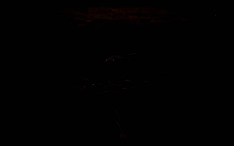 天堑沙原丰饶期白昼10区河畔画面