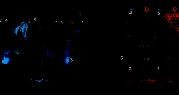 上古河图随从相关图片5