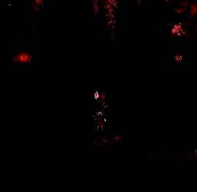 与蓓娜丽一起赏花宠物外观图