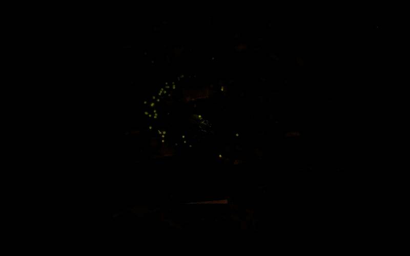 怪物猎人荒野天堑沙原通往绯红森林通道画面