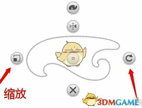 缩放和旋转曲线板图形的操作示例