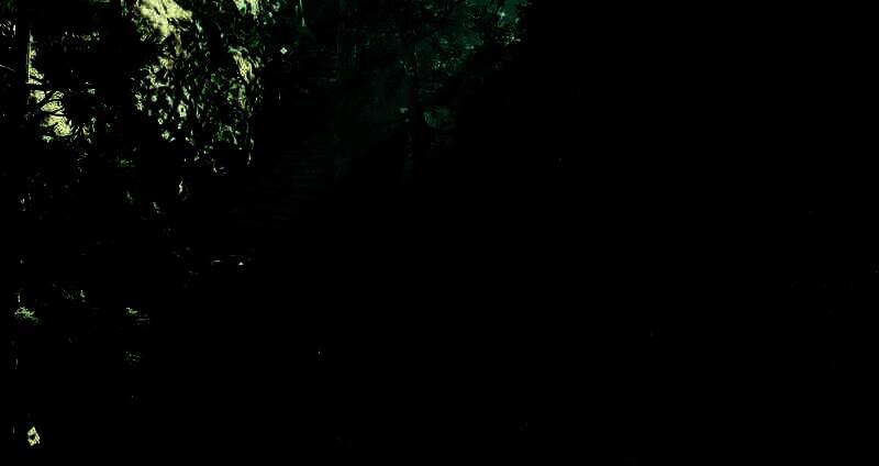 《刺客信条：影》相关图片2