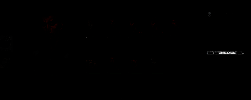 《暗影帷幕:五轮传奇》相关图片1