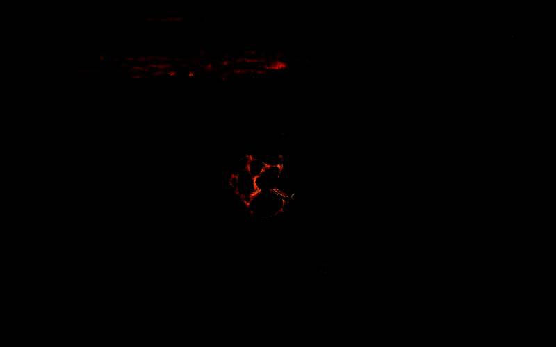 《怪物猎人：荒野》爆弹甲虫具体位置图