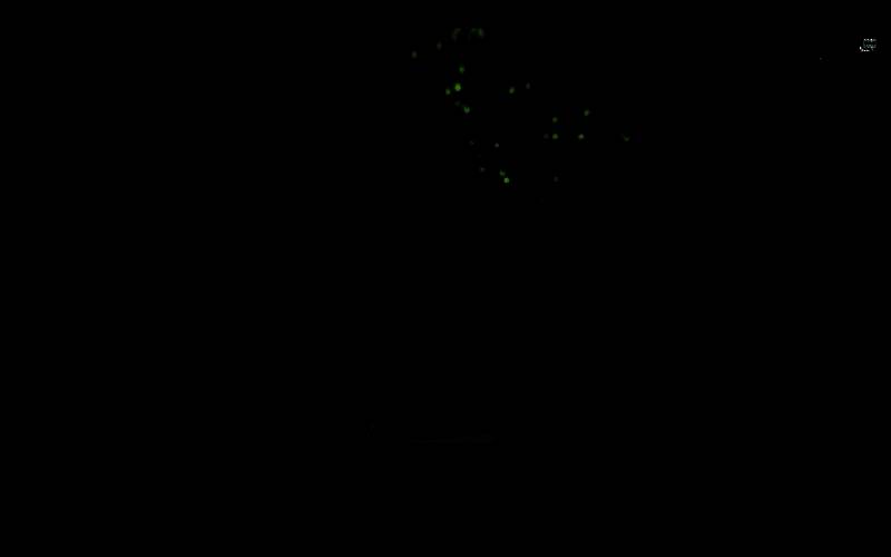 《怪物猎人：荒野》中粪金龟所在位置的地图标识图