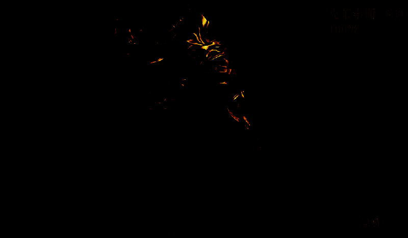 龙息神寂游戏相关图片2