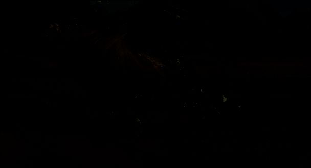 怪物猎人荒野大锤回旋攻击画面