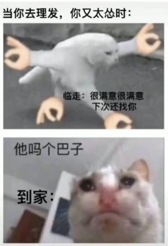 与那很有生活了梗相关的图片3