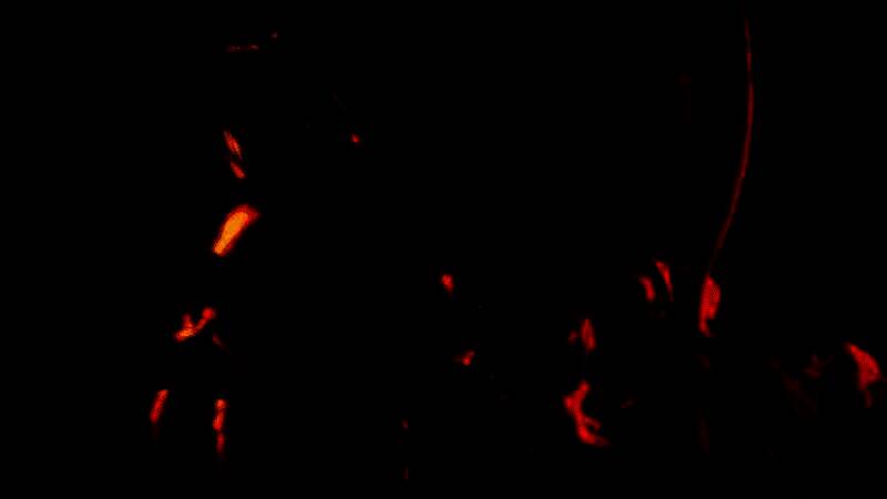 Skyblivion相关展示图片