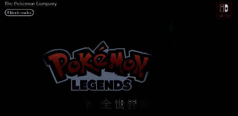 宝可梦社活动相关图片