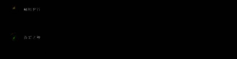 部分全新中立宝物展示