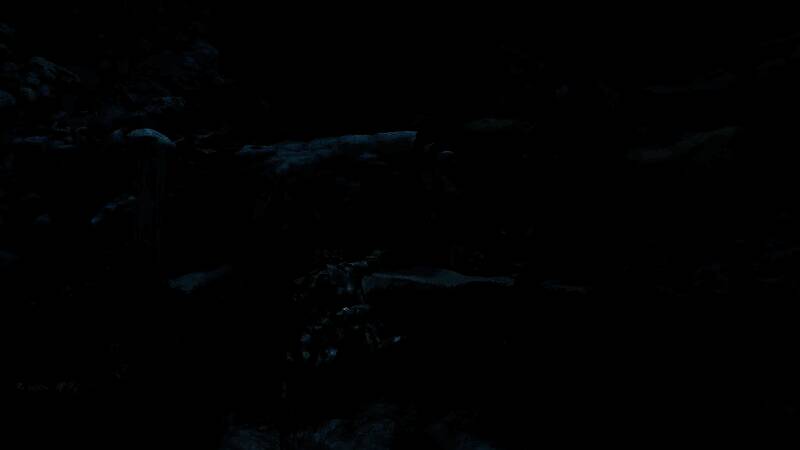 《怪物猎人：荒野》相关画面1